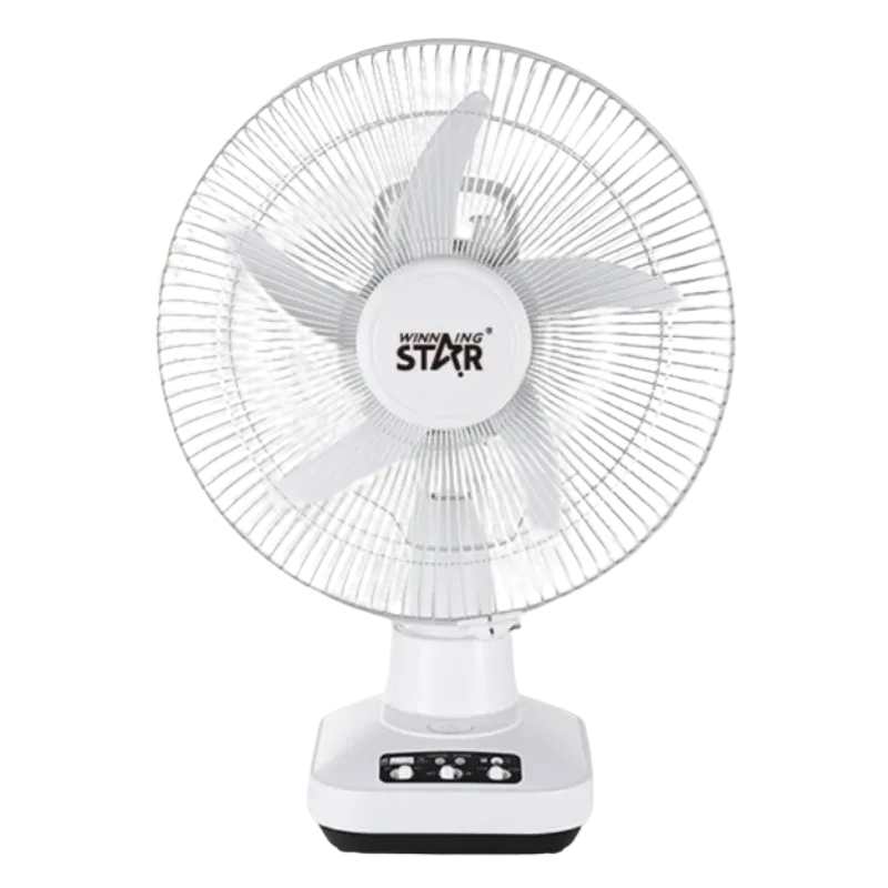 WINNING STAR  ST-4023 Օդափոխիչ