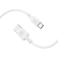 BOROFONE USB BX113 TYPE-C ՍՊԻՏԱԿ