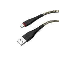 BOROFONE USB BX25 MICRO ՈՍԿԵԳՈՒՅՆ-Սև
