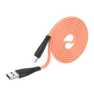 HOCO USB X42 TYPE-C ԴԵՂԻՆ