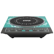 WINNING STAR ST-9674-L ԻՆԴՈՒԿՑԻՈՆ ՍԱԼՕՋԱԽ