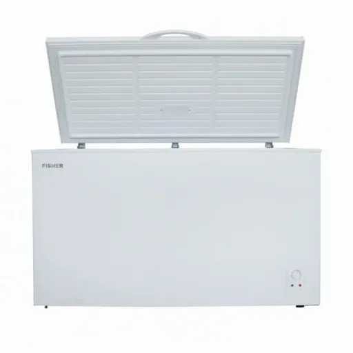 FISHER Սառցարան FCF400W