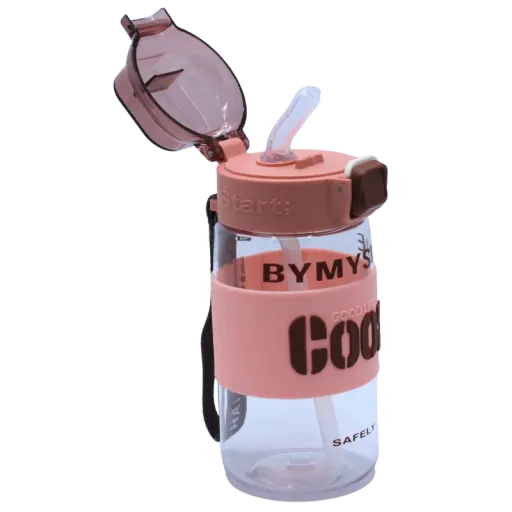 ՋՐԻ ՇԻՇ GOOD ՎԱՐԴԱԳՈՒՅՆ 520ML