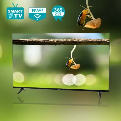 Հեռուստացույց WINNING STAR ST-D002 (HD 32'')