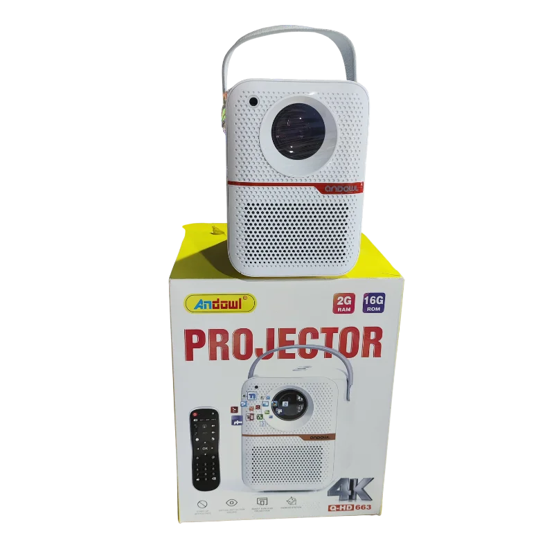 ՊՐՈՅԵԿՏՈՐ  ANDOWL Q-HD663