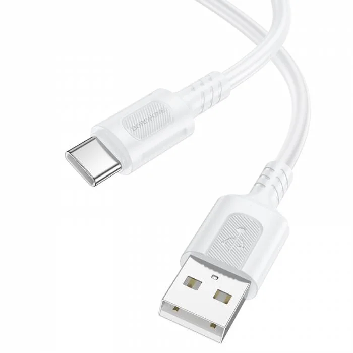 BOROFONE USB BX111 TYPE-C ՍՊԻՏԱԿ 2