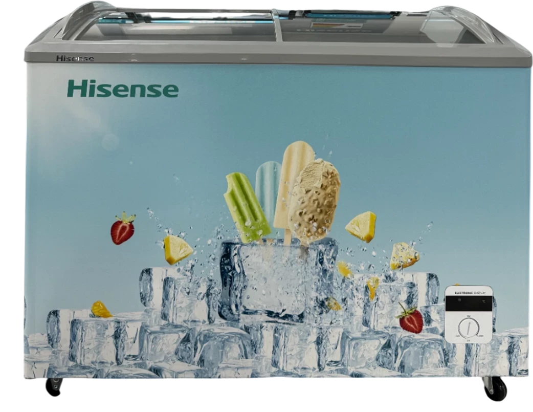 HISENSE Սառցարան FC-39DD4PIC 2
