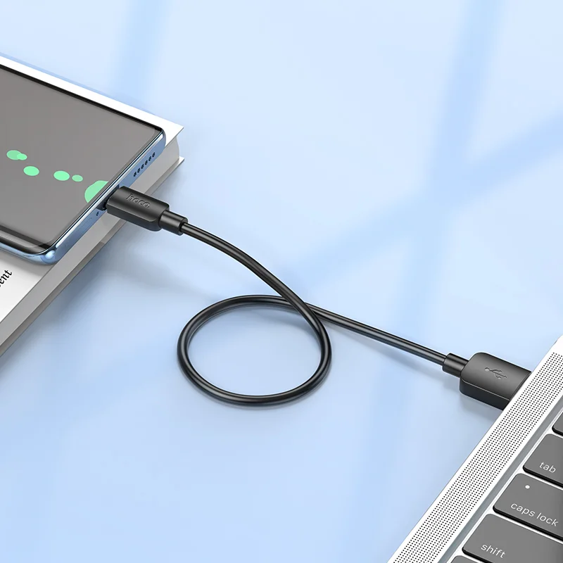 HOCO USB X96 TYPE-C Սև 0.25M 3