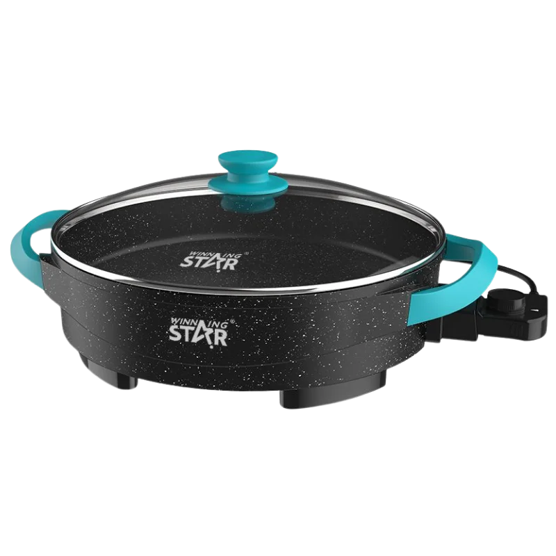 WINNING STAR ST-9801 ԷԼԵԿՏՐԱԿԱՆ ԿԱԹՍԱ 3