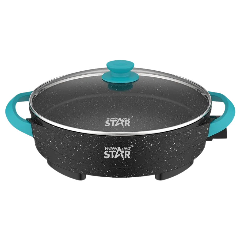 WINNING STAR ST-9801 ԷԼԵԿՏՐԱԿԱՆ ԿԱԹՍԱ 2