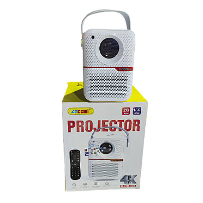 ՊՐՈՅԵԿՏՈՐ  ANDOWL Q-HD663